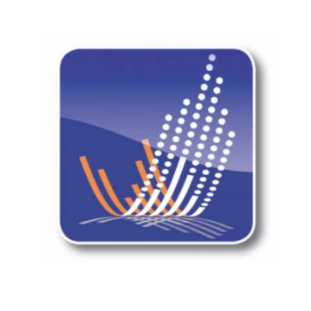 ICON ~ Business Growth Professionals