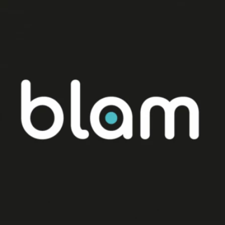 Blam Websites