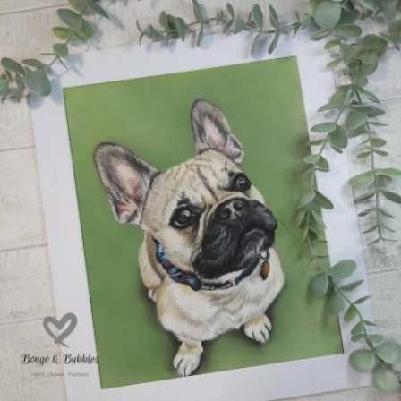 Bongo & Bubbles Hand Drawn Portraits